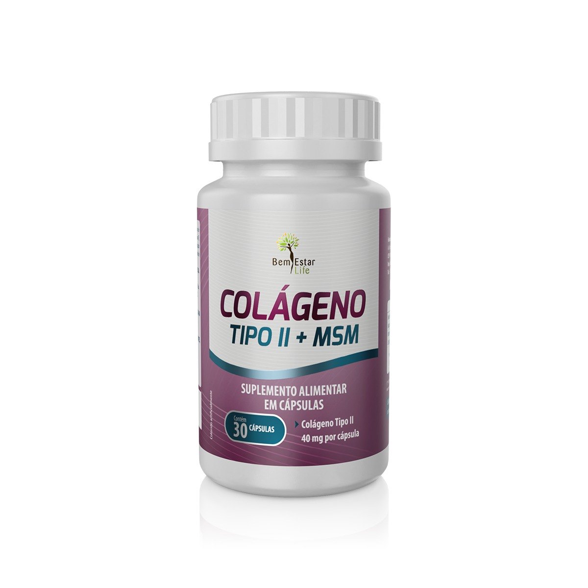 COLAGENO  TIPO II + MSM